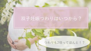 双子のハイローチェア】2台必要？電動がいい？みんなの疑問を解決