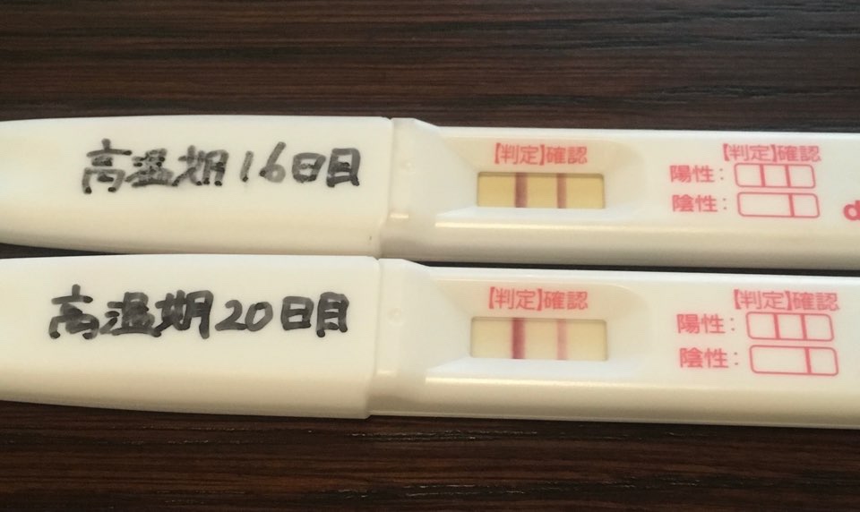 陰性 その後陽性 高温期10日目