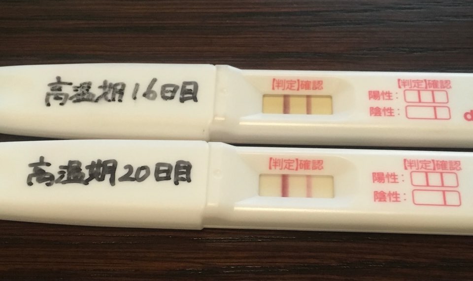 ドゥーテスト 排卵 妊娠検査薬は時間が経つと濃くなるってほんと 双子ライフ
